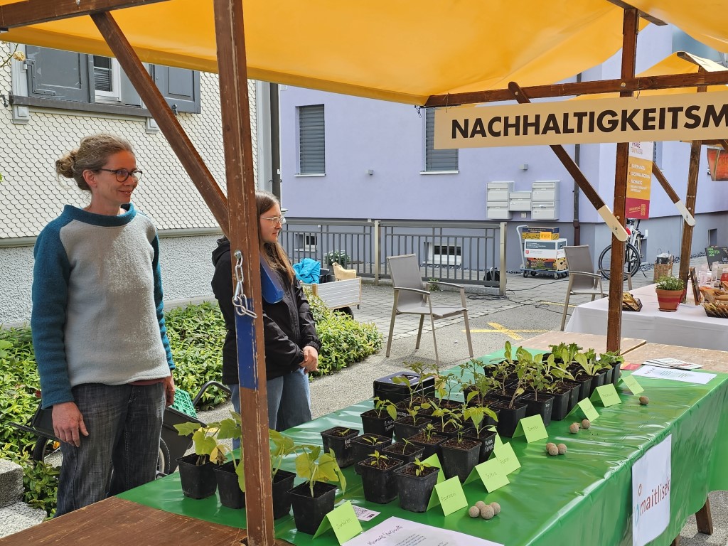 Maitlisek am Maimarkt